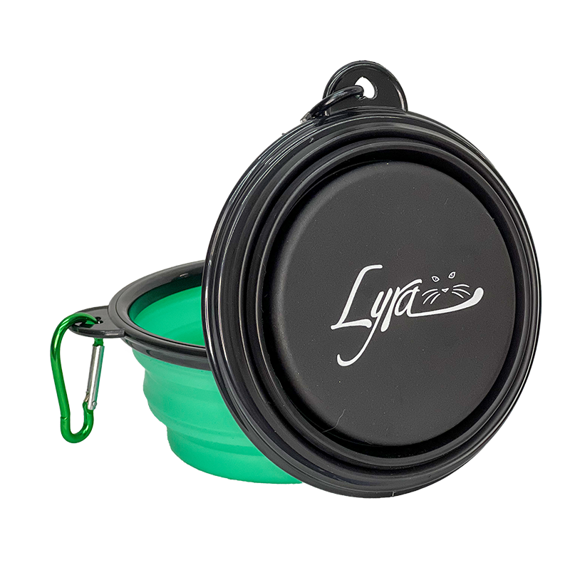 Collapsible Pet Bowl
