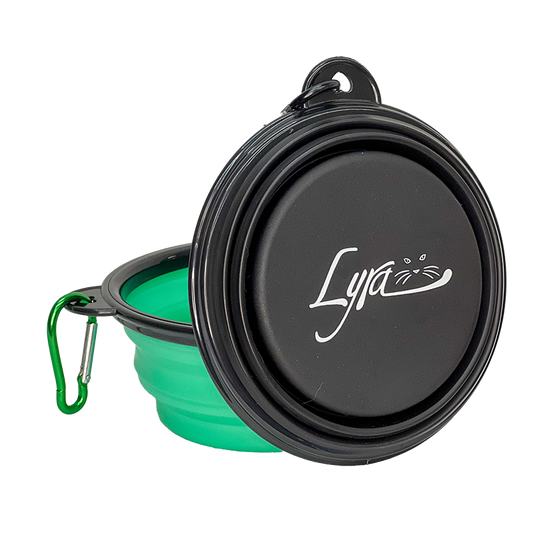 Collapsible Pet Bowl