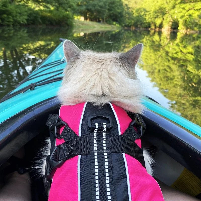 FFD (Feline Flotation Device)