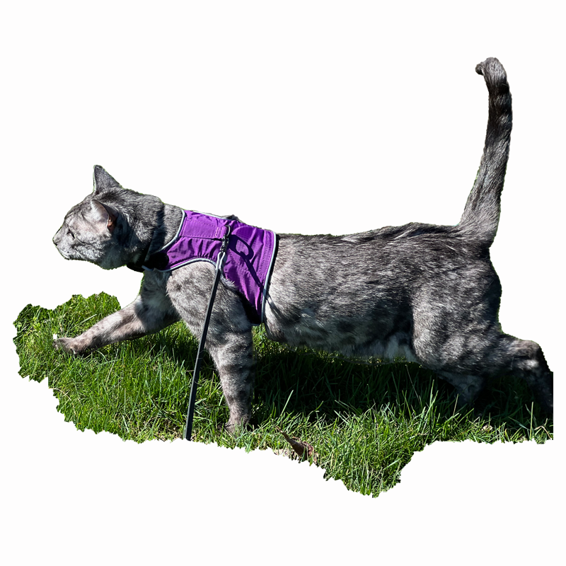 Walking Jacket Harness