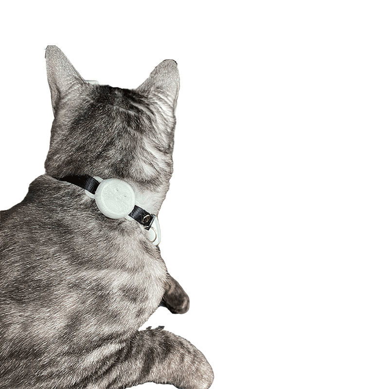 Glow-in-the-dark tile holder shown on a cat