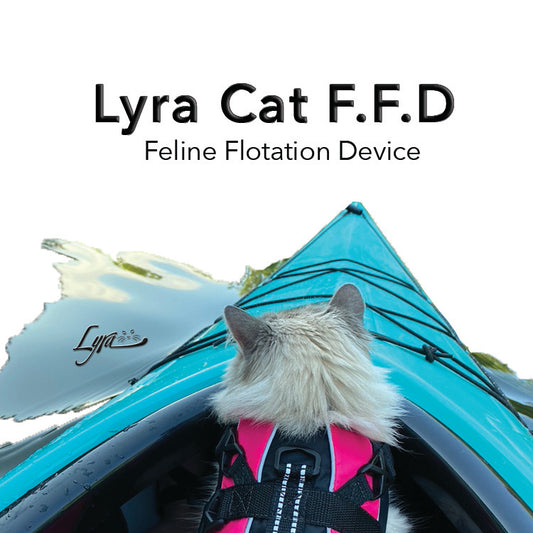Fitting the Lyra Cat FFD