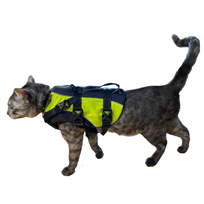 FFD (Feline Flotation Device)